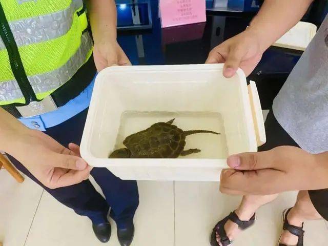 地方新闻 第24页